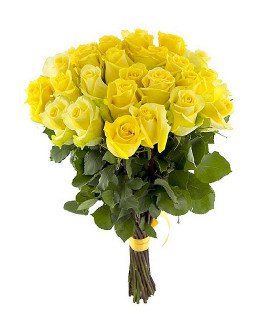 25 желтых роз "Золото флоры"