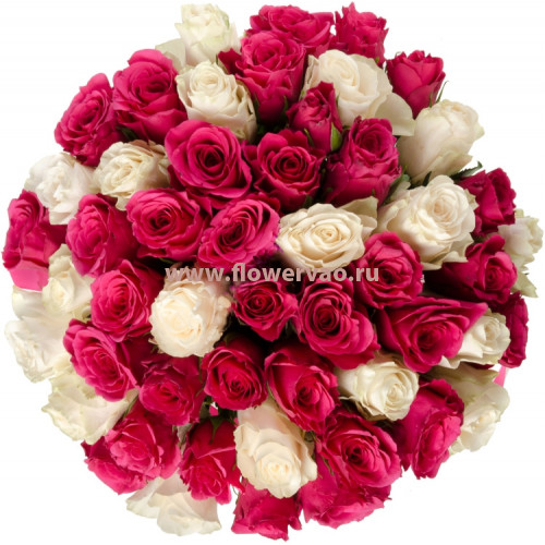 Букет из 51 розовой и белой розы Ангелина