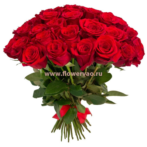 Букет из 51 розы Красная Романтика