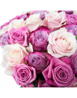 Букет из 51розово-фиолетовой розы 