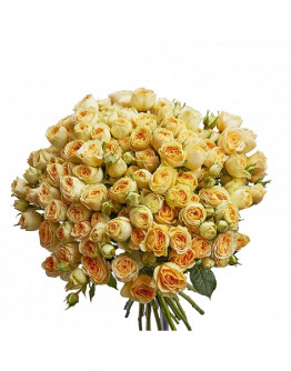 25 кремовых кустовых роз "Яна"